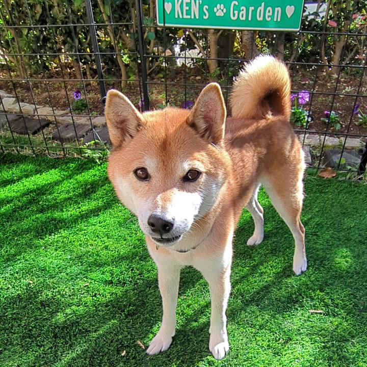 58a6a794 7905 43c5 bd5d 0e3a83d9fda1 1732960038233