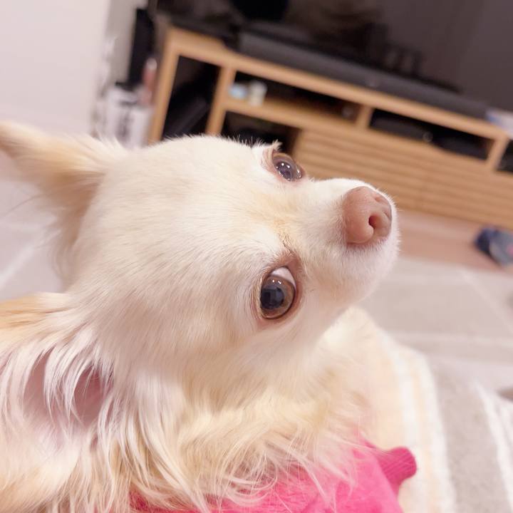 58a6cde5 8c7d 4553 b9cf 16f12f7f1596 1740574685027