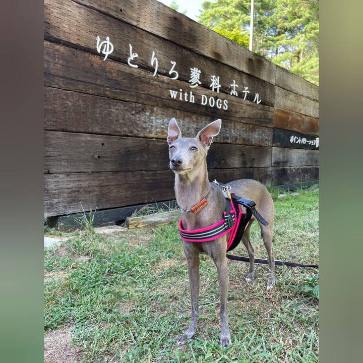 58a6d7d0 d154 4fc5 8799 9fe5e7caaef7 1758366677752