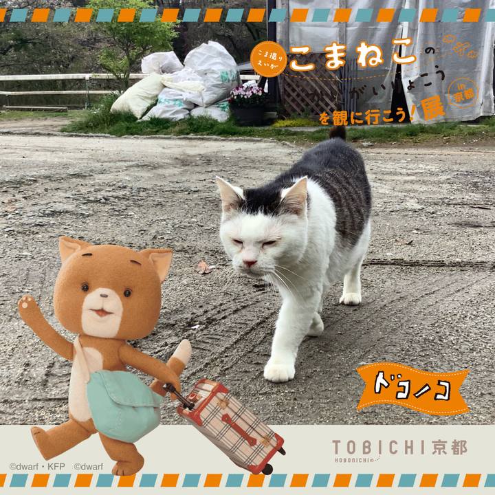 58a6db21 ac61 4342 be4b 6f94e64443cb 1740229615392