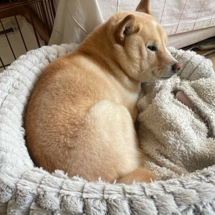 58a70fcd 2783 42d0 b5e4 3f11f901e7a9 1678504789421