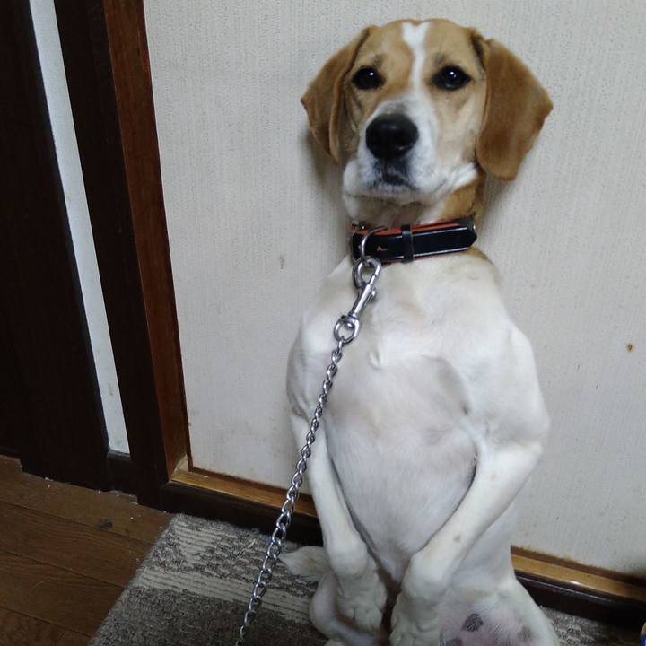 58a727c0 9212 429c b4af 13892cbbe2a9 1620993777503