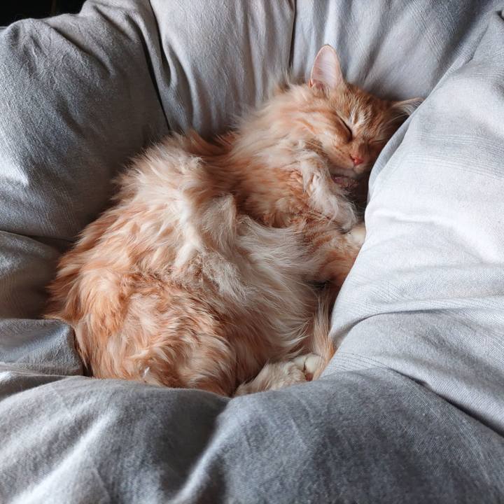 58a72a30 6f6a 4787 8f03 f9e2bf9a0aa7 1681615145680