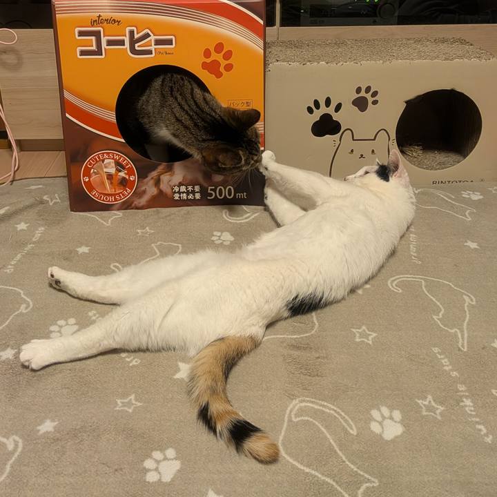 58a73b22 b65c 4c64 959b d91f6263a34d 1768991905893