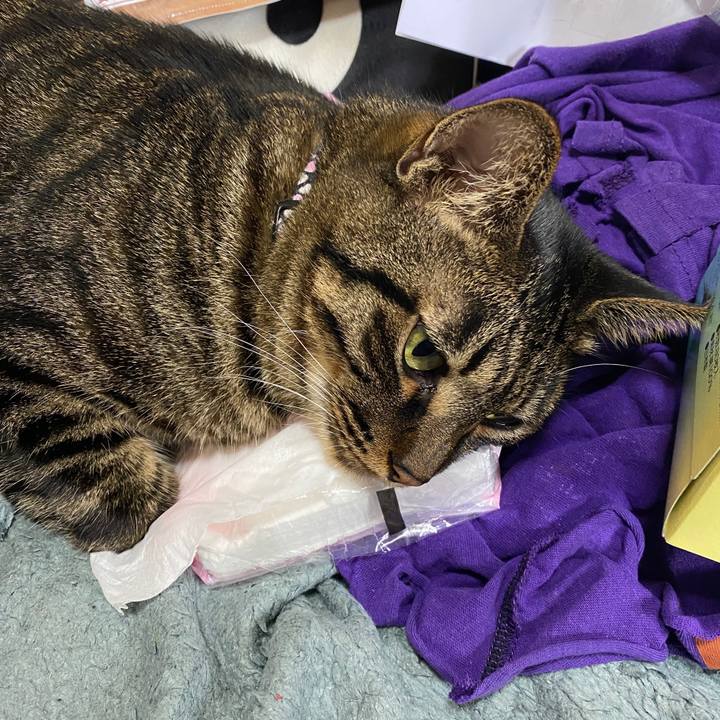 58a75758 f416 47c3 a59f 3f281eb6b608 1596002971948