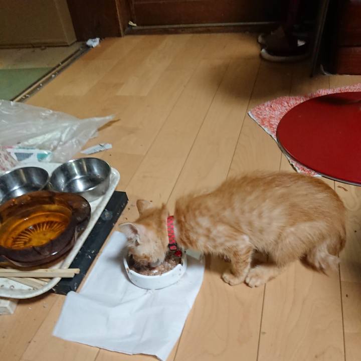 58a774b2 c647 4f25 9e7e 36b3e10d45b3 1629367764392