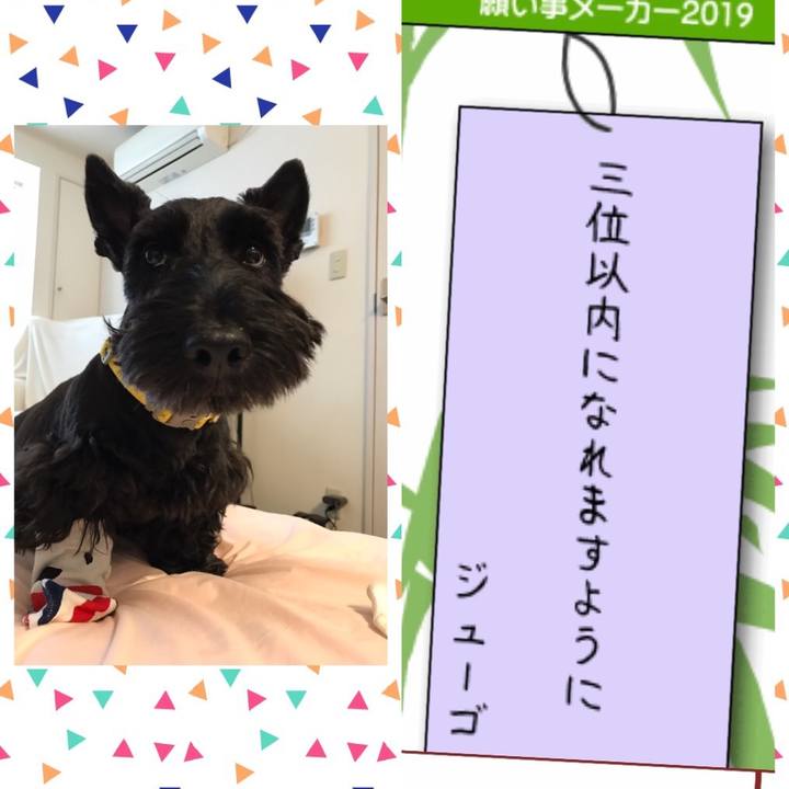 58a7a36c d093 4e4d b823 cd3d1709e656 1563412820488