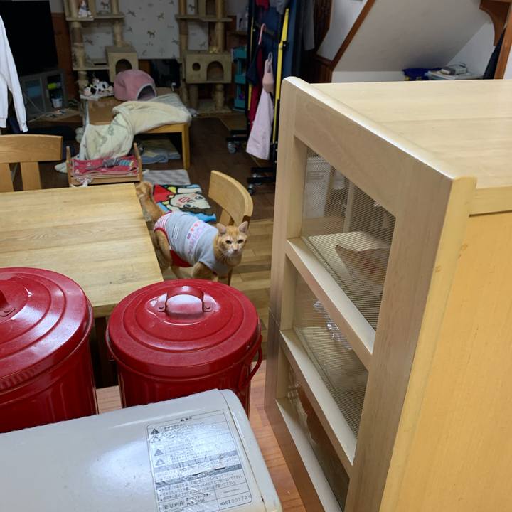 58a7f0f2 dee9 459d baa6 0c7a291ad6cb 1603971053485