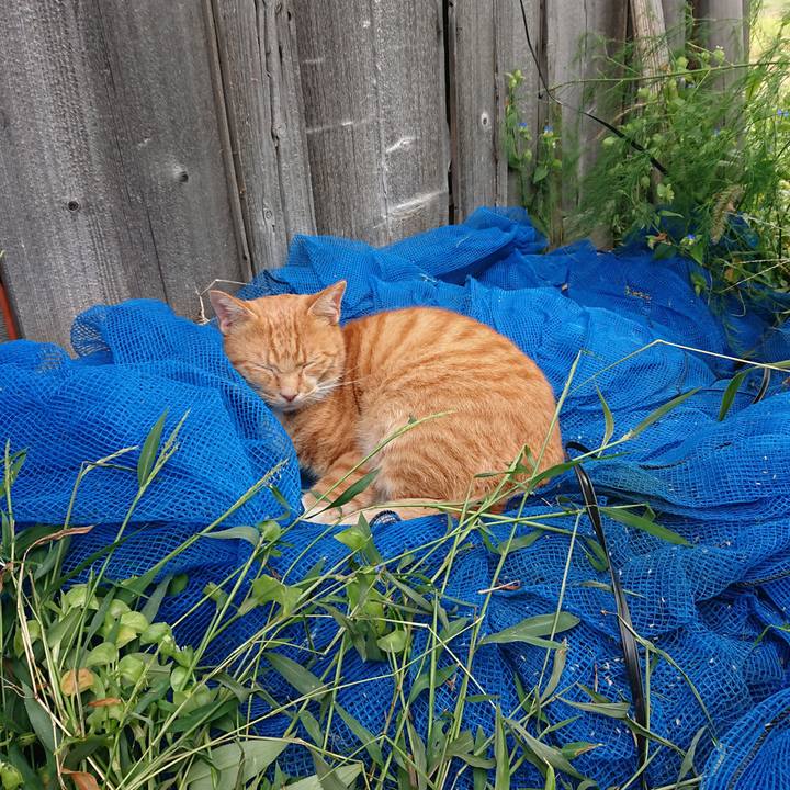 58a819eb a0e8 4b9a ae45 edf9cce771dd 1600732707641