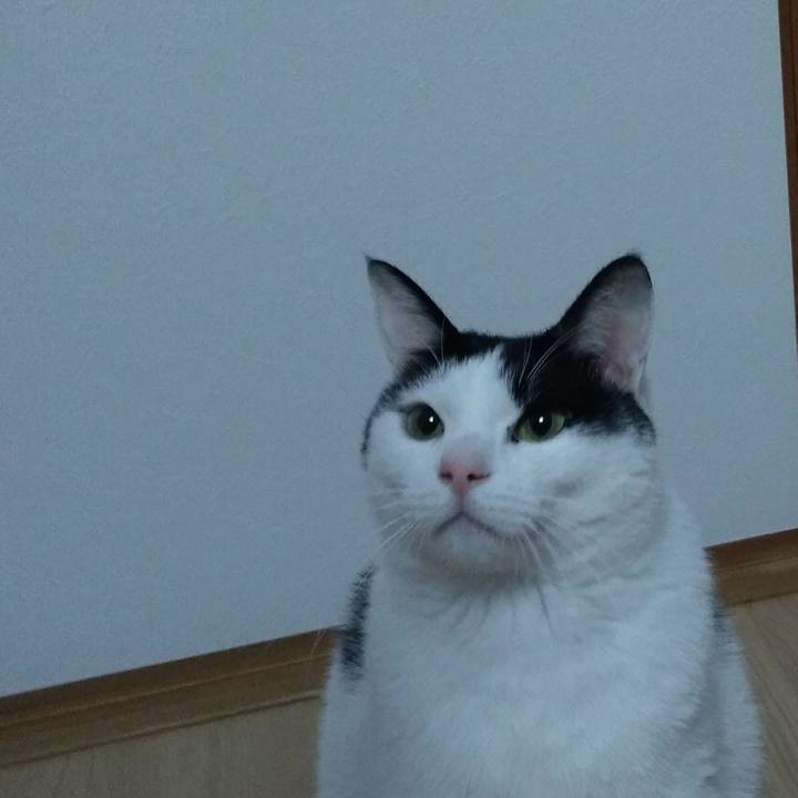 58a8291e 2ac7 4b2b b4f7 b07e9497f6e2 1517315112176