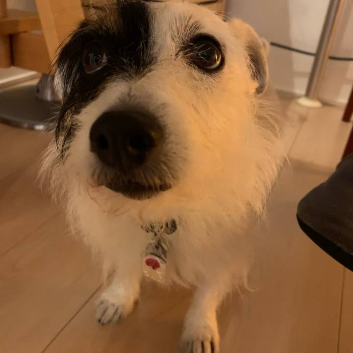 58a83eaa edcb 442d a179 01c623b29347 1622632948748