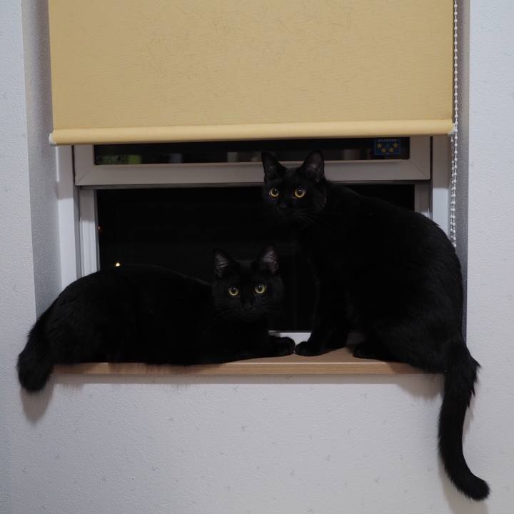 58a88fdd 128d 49c6 86bb bc1cbf4a4ba6 1536243035217