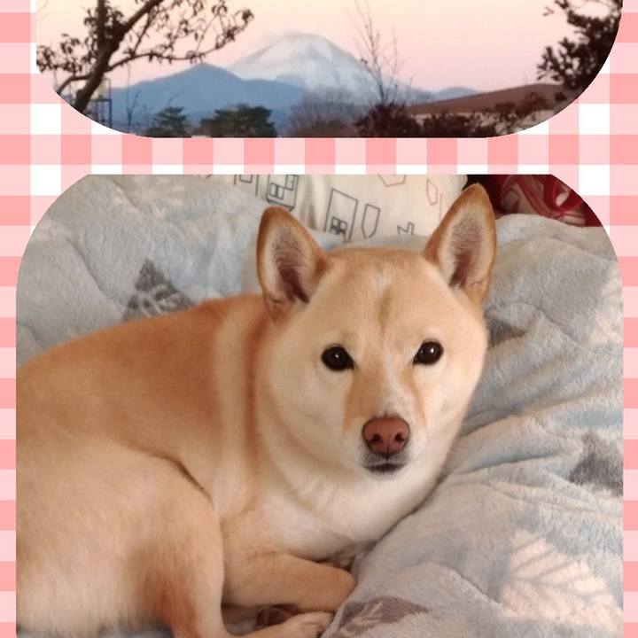 58a8cdf5 3561 49df a502 9da52be54cf3 1609370558094