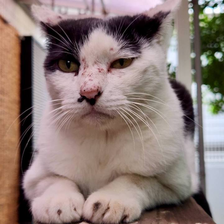 58a8df1b 9e41 44c3 9dc4 9ddaeb48f6f0 1760586866696