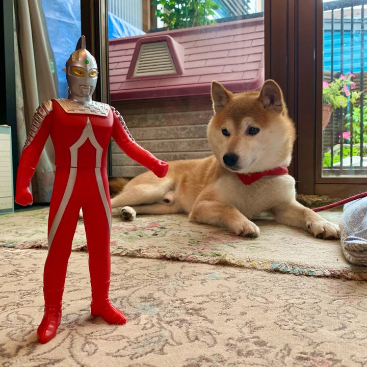 58a8e2b1 9368 4763 af54 1bbae71921d4 1625658090396