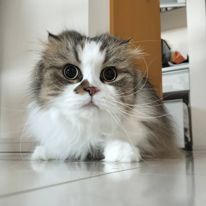 58a8fb00 2f23 4eef b1fa 37e0919b80fd 1758583190296