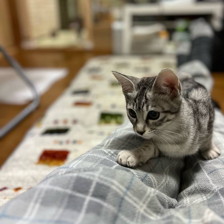 58a910f8 7af8 4ec9 8c18 075d2aac889f 1699267331783