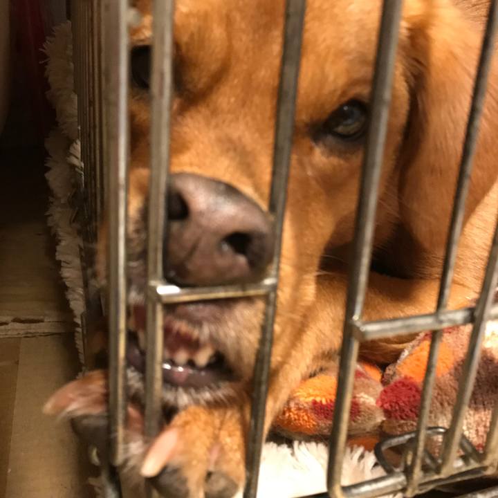 58a9282d 6059 4e97 8444 460678d81b48 1571394577073