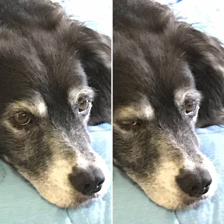 58a93129 dcd0 4ad6 a363 32a0c0b07b9d 1536067594193