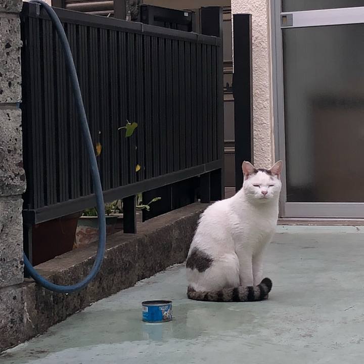 58a93148 e70e 42db a9c6 e82da564fe55 1538571128569