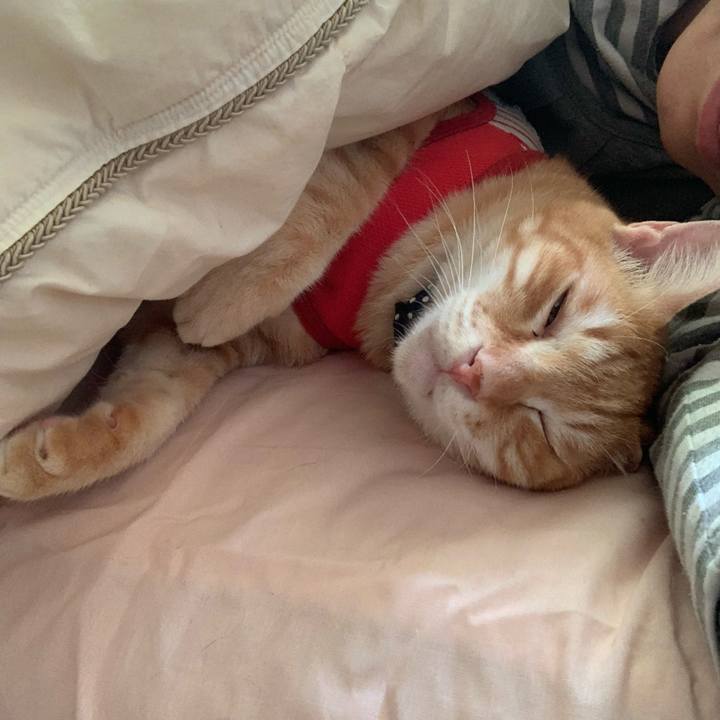 58a9385c 8187 4fc1 ae6c 0b3da0aa5bdd 1587255074536