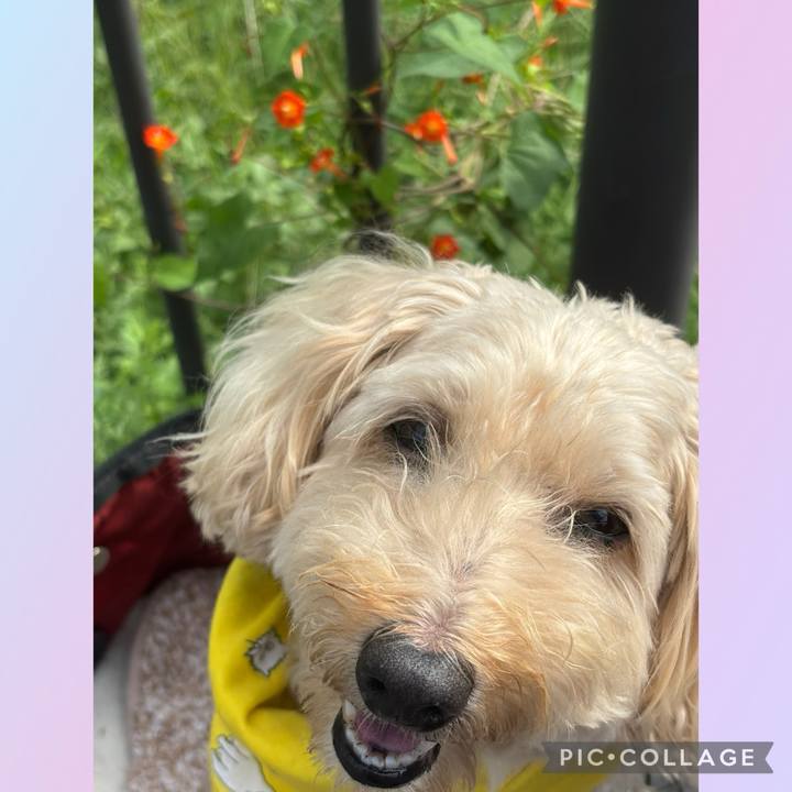 58a938a9 e130 4a0a a24d 7cad6f424b98 1758843667618