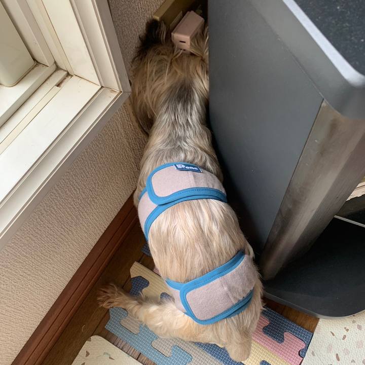 58a94953 fab0 4978 867b 6e9a0ed8d4ad 1691055443872