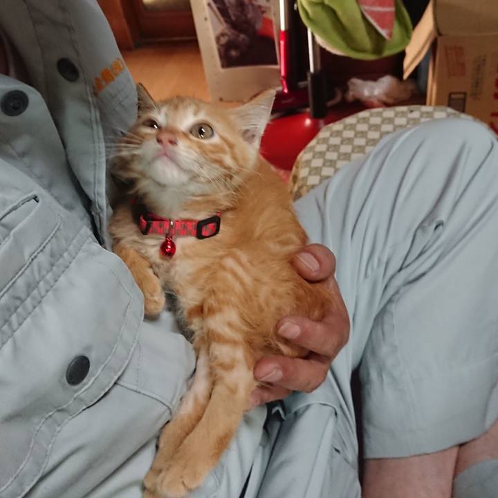 58a951c5 dfb7 47fc b151 5cbd79d9f69b 1628114196426