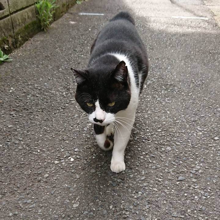 58a96b0f dfe5 45b0 8bb3 90c2fd346145 1528860891725