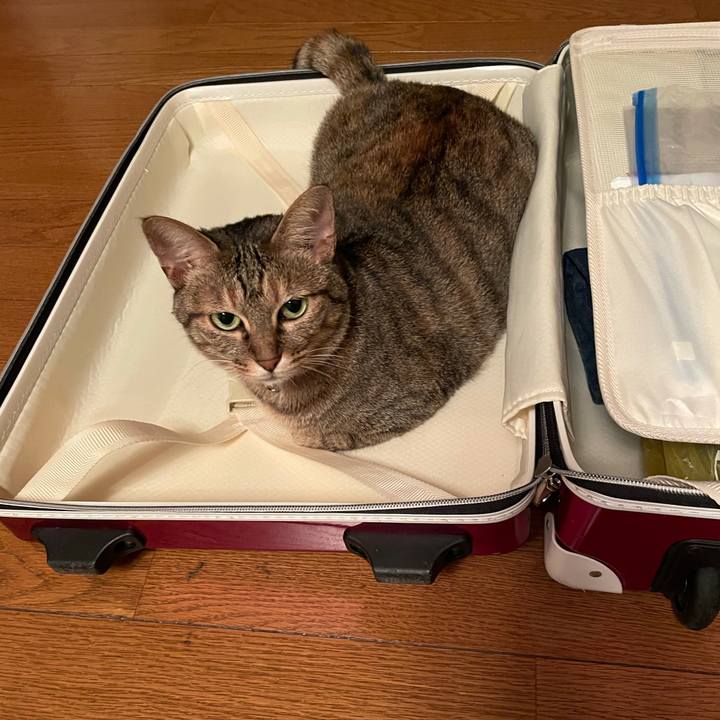 58a97302 d1f8 4da5 9f14 c40c02e3e1e7 1627278829944