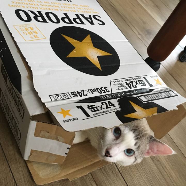 58a986ab 4747 4634 94e9 e67c89fc2d70 1547082693556