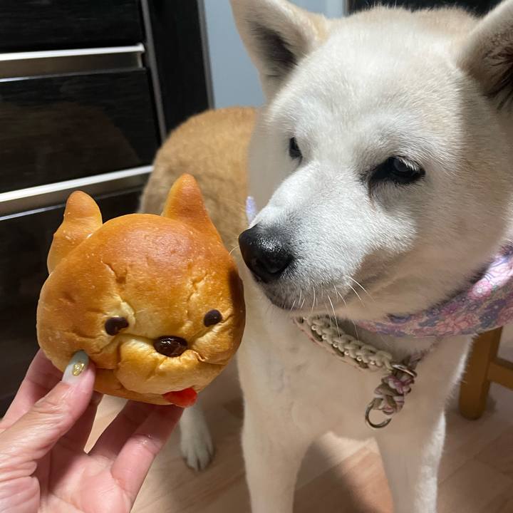 58a9b2d0 b1e0 42d4 a3c6 1e9e68cb2b75 1680948360774