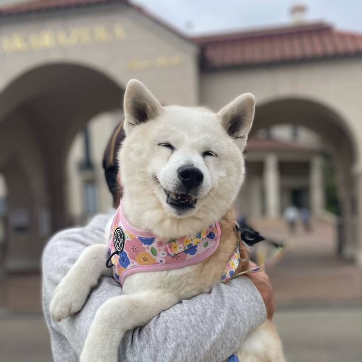 58a9ecb5 28bb 40cc 83b9 169319f37291 1713230992462