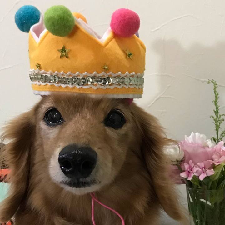 58a9fe73 f5c3 4ce4 869a 27c9127eff5b 1664368124874