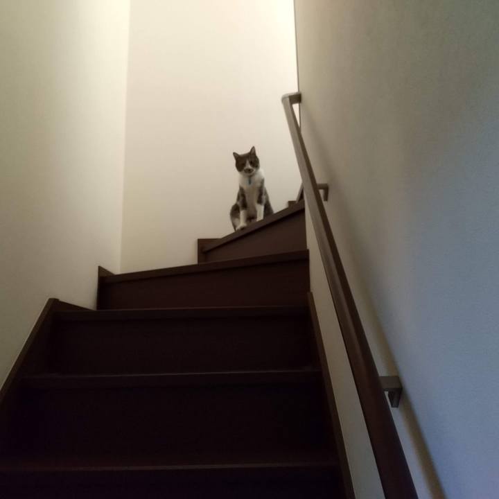 58aa342f 8108 4bc3 b705 f5b44beccafc 1632185159548