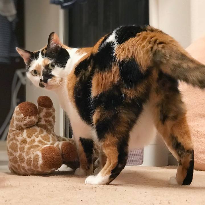 58aa449f 59a2 4910 83e3 74f2d2f7555b 1552907715347