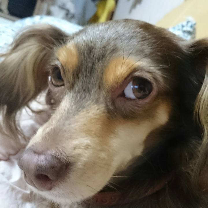 58aa5783 33db 45a1 903e 9cf14bafa00c 1514375325351