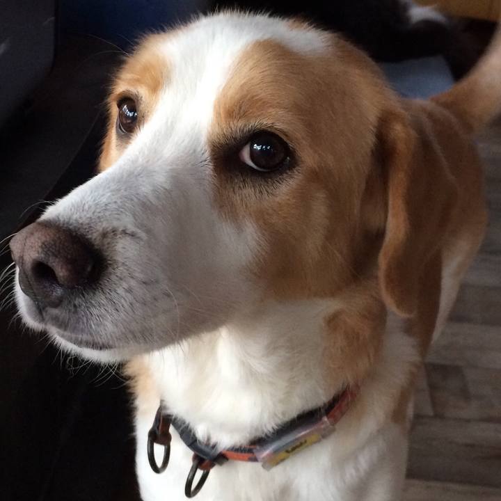 58aa69bd 387b 4ef3 a8b2 0f5cac0728e7 1511781226425