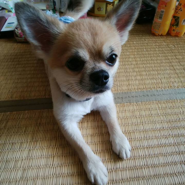 58aaaded 6d98 481b ada4 127760cca4e9 1536981781223