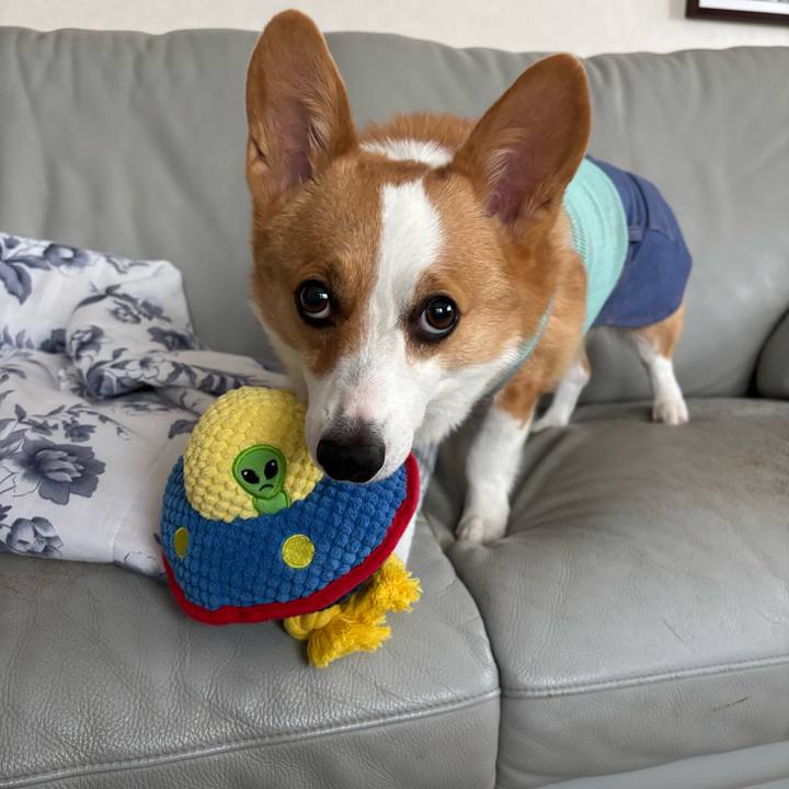 58aacff3 d9dd 4ea1 b3a2 3e7849161b52 1758341674313