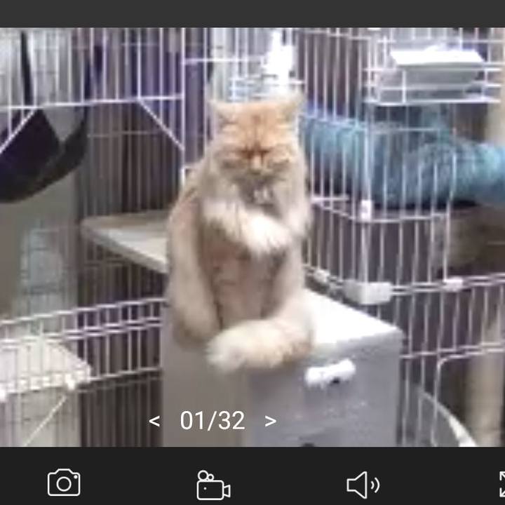 58ab299c 8b9c 47e1 ba2f 26507ebbc55b 1684929863322