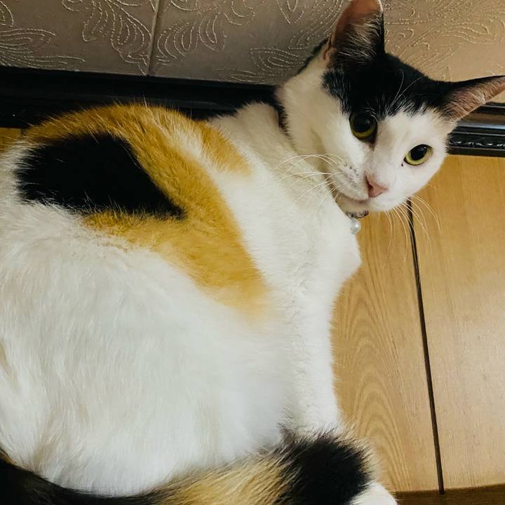 58ab6b5e 7286 458a b98e 1cd189db6aee 1655298598569