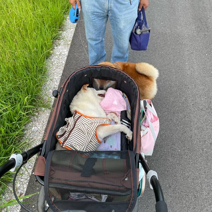 58ab7602 3e2a 4e88 9b17 11a31499138c 1657582080979