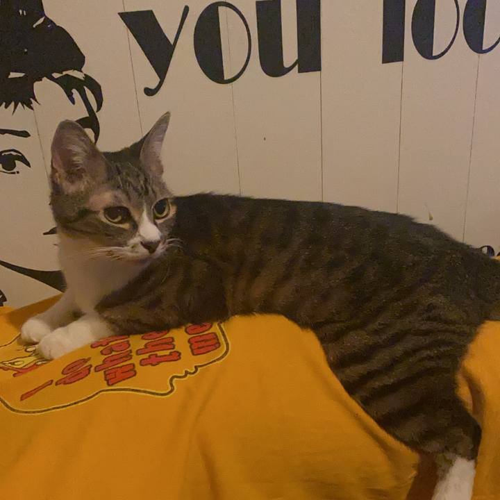 58ab7ea5 36f0 4206 91bf 307519fe4819 1597349739424