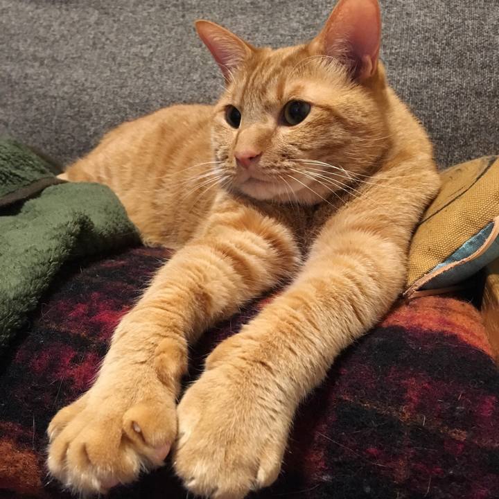 58ab9217 1b56 4ecf bffd 8fc1656d967a 1547074642106