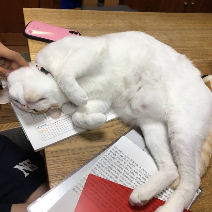 58abad42 b3a9 407f 9926 76a584db7547 1526297394949