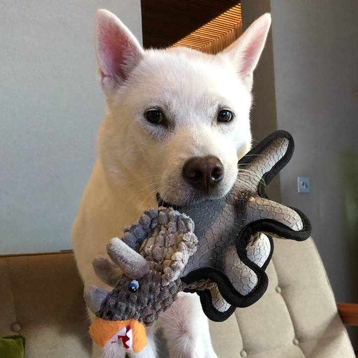 58abaea0 5570 4969 8340 92b633d64685 1567311025780