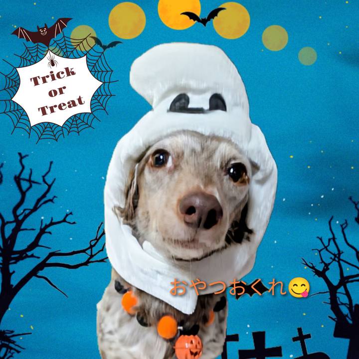 58abc158 3ef9 482b b115 08ccabab4c9f 1761869376131