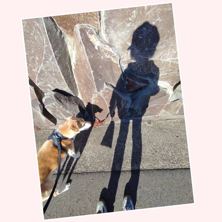 58ac2627 b3e9 41d1 9ef0 3ee27cdb5737 1638603195570