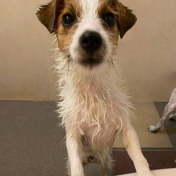 58ac40be ad21 4d07 b09c 8787088e8638 1627784847496